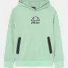 Ellesse EDENI HOODY UNISEX - T-shirt à Manches Longues - Light Green