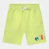 Ellesse FRANKELO - Short - Light Green