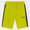 Ellesse PELLIO - Short - Green