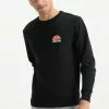 Ellesse DIVERIA - Sweatshirt - Anthrazit