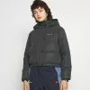 Ellesse MONOLIS REFLECTIVE - Veste D'hiver - Black