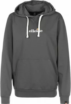 Ellesse DAPHINI - Sweat à Capuche - Black
