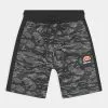Ellesse ALPINI - Short - Green