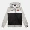 Ellesse ARNALDO FZ HOODY - Sweat à Capuche Zippé - Light Grey Marl