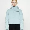 Ellesse MONOLIS REFLECTIVE - Veste D'hiver - Blue